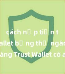 cách nạp tiền trust wallet bằng thẻ ngân hàng Trust Wallet có an toàn không? Đánh giá ví điện tử cho người Việt