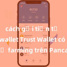 cách gửi tiền từ trust wallet Trust Wallet có hỗ trợ farming trên PancakeSwap không?